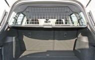TDG1279_6.jpg