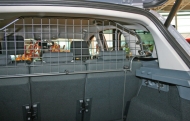TDG1304_6.jpg